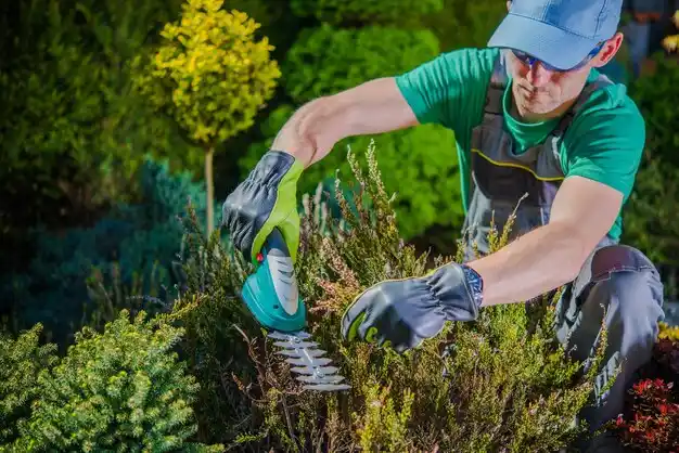 landscaping services Lennon